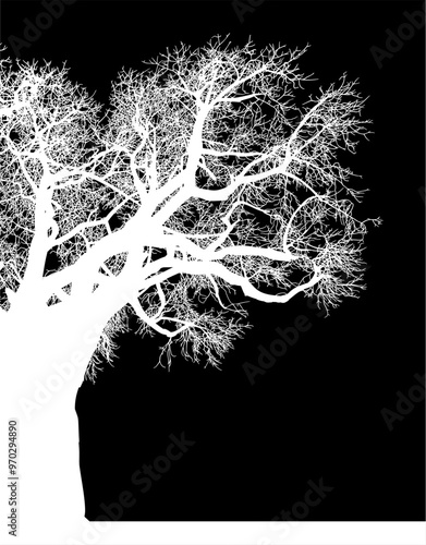 silueta arbol, arbusto, hojas, ramas, otoño, ilustracion, bosques, naturaleza, sequia, atmosfera