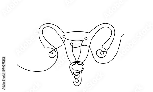 Continuous line drawing of women's Uterus and Ovary. One line Female reproductive system uterus vector illustration isolated on white background.