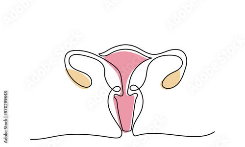 Uterus Female reproductive system, cycle.women's genital organ, Internal organs concept.line art illustration isolated on a white background.
