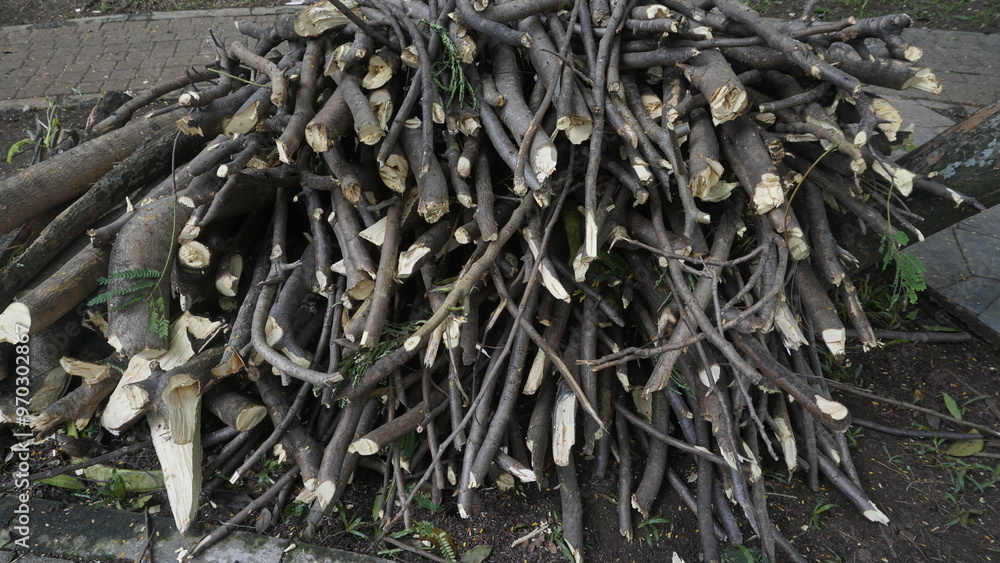 Several pieces of wood branches are placed in a pile on the ground
Several pieces of wood branches are placed in a pile on the ground