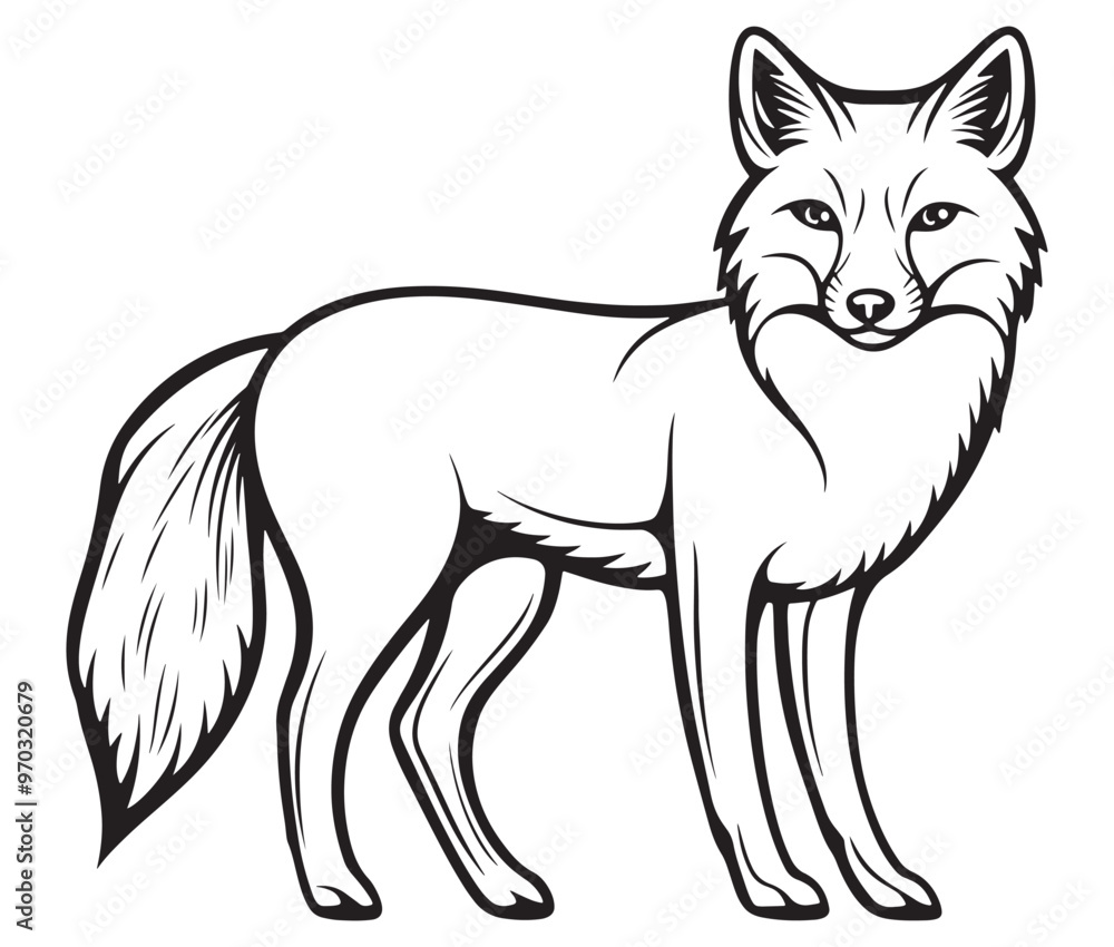 Obraz premium Fox cartoon isolated on white background outline drawing