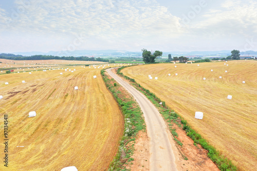 Anseong-si, Gyeonggi-do, South Korea - June 30, 2019: Aerial view of road and hay rolls on barley field at Anseong Ranch in summer photo