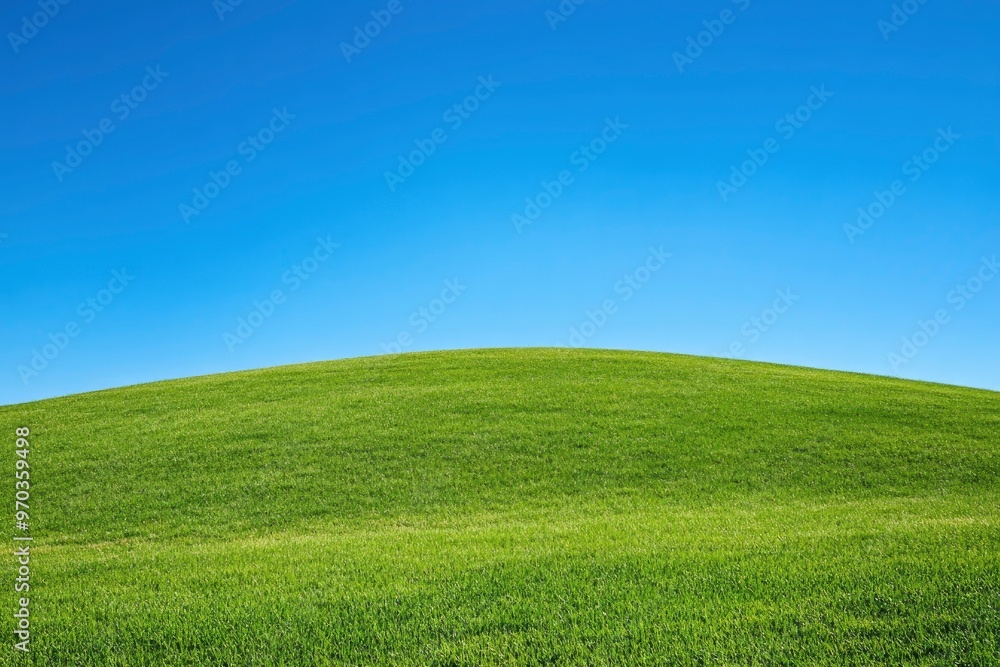Green Land, Blue Sky, Summer Sunny Day Background, Wide View Of Lawn Hill and Blue Sky , ai Green Land, Blue Sky, Summer Sunny Day Background, Wide View Of Lawn Hill and Blue Sky , ai