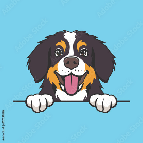 Bernese Mountain Dog Peeking face Vector illustration - Dog peeking face isolated
