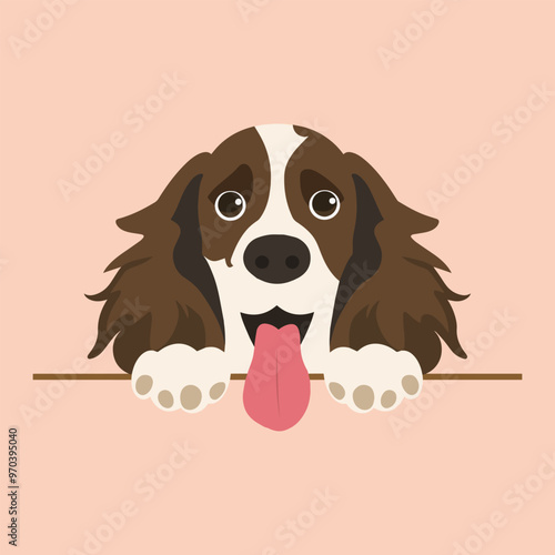 English Springer Spaniel Dog Peeking face Vector illustration - Dog peeking face isolated

