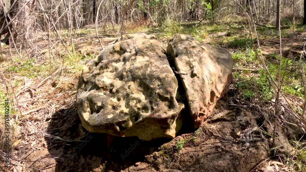 Cracked Rock in Forest Clearing Cracked Rock in Forest Clearing