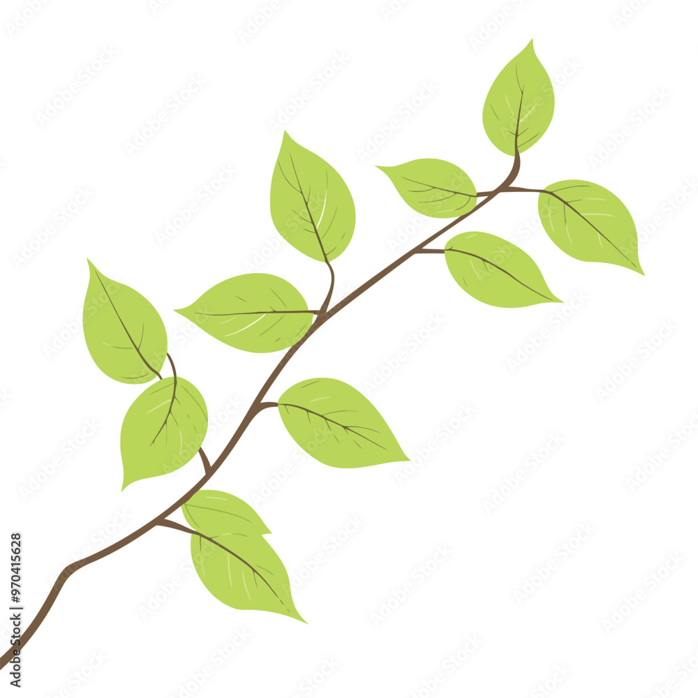 Tree branch with green leaves Tree branch with green leaves