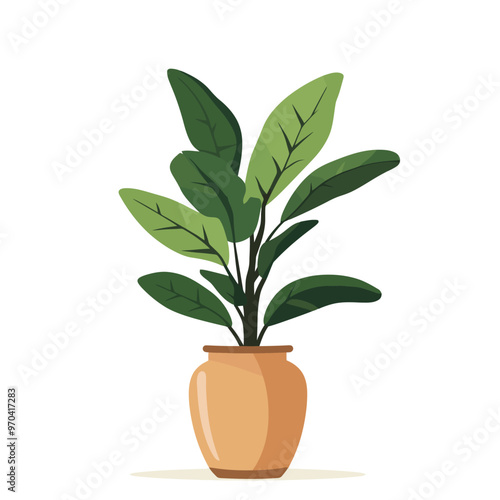 Decorative home plant vector