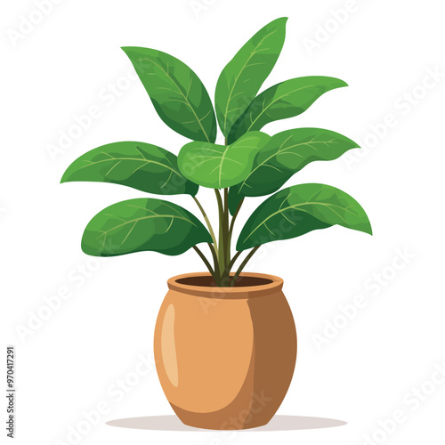 Decorative home plant vector