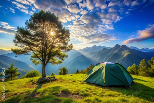 A green tent is set up in a grassy field with a tree in the background