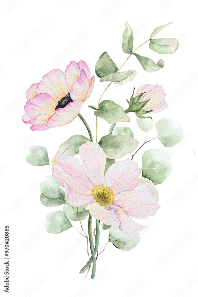 Bouquet of Anemone and Cosmea flowers and eucalyptus leaves. Isolated hand drawn watercolor illustration. Summer floral design for wedding invitations, cards, posters, packaging of goods Bouquet of Anemone and Cosmea flowers and eucalyptus leaves. Isolated hand drawn watercolor illustration. Summer floral design for wedding invitations, cards, posters, packaging of goods