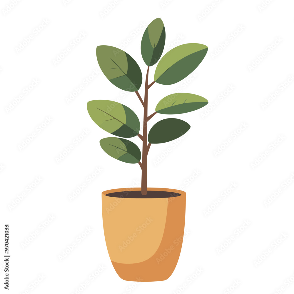 Decorative home plant vector Decorative home plant vector