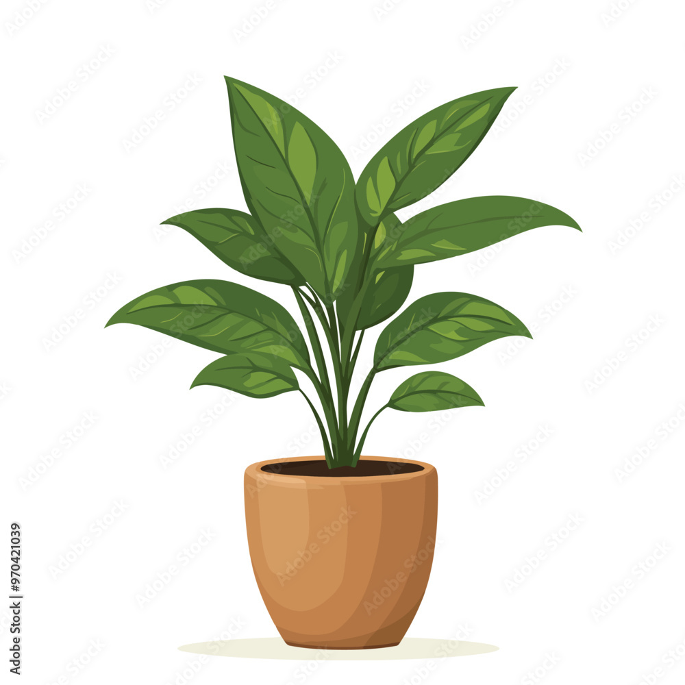 Decorative home plant vector Decorative home plant vector