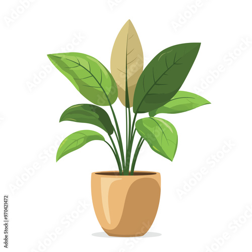 Decorative home plant vector