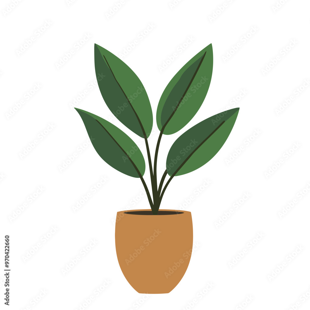 Decorative home plant vector Decorative home plant vector