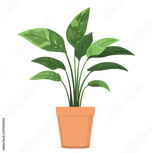 Decorative home plant vector