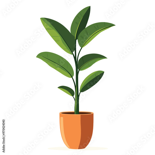 Decorative home plant vector