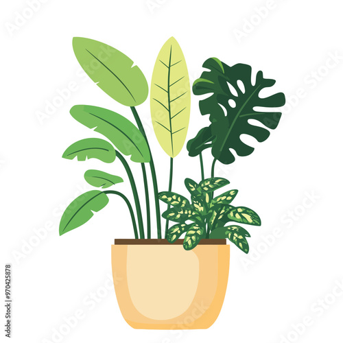 Decorative home plant vector