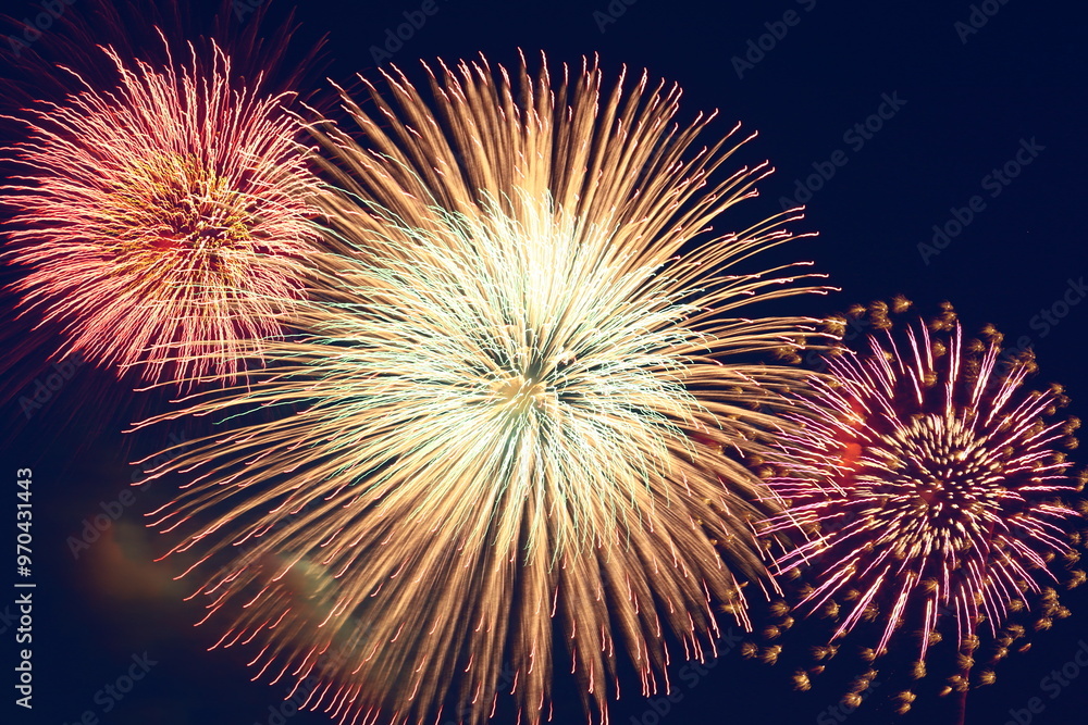 夏の夜空を染める