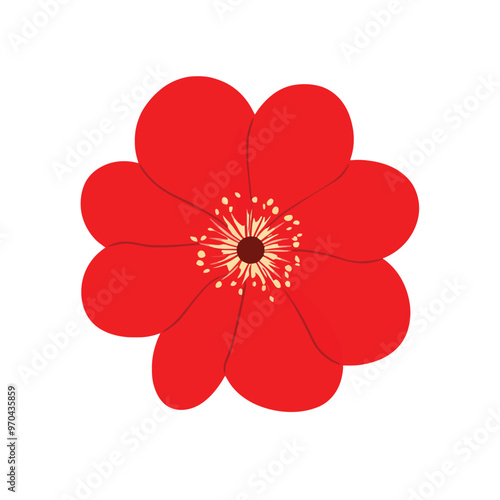 Red colour Flower