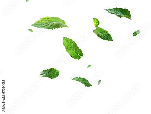 A collection of green leaves falling gracefully, evoking a sense of nature and tranquility.