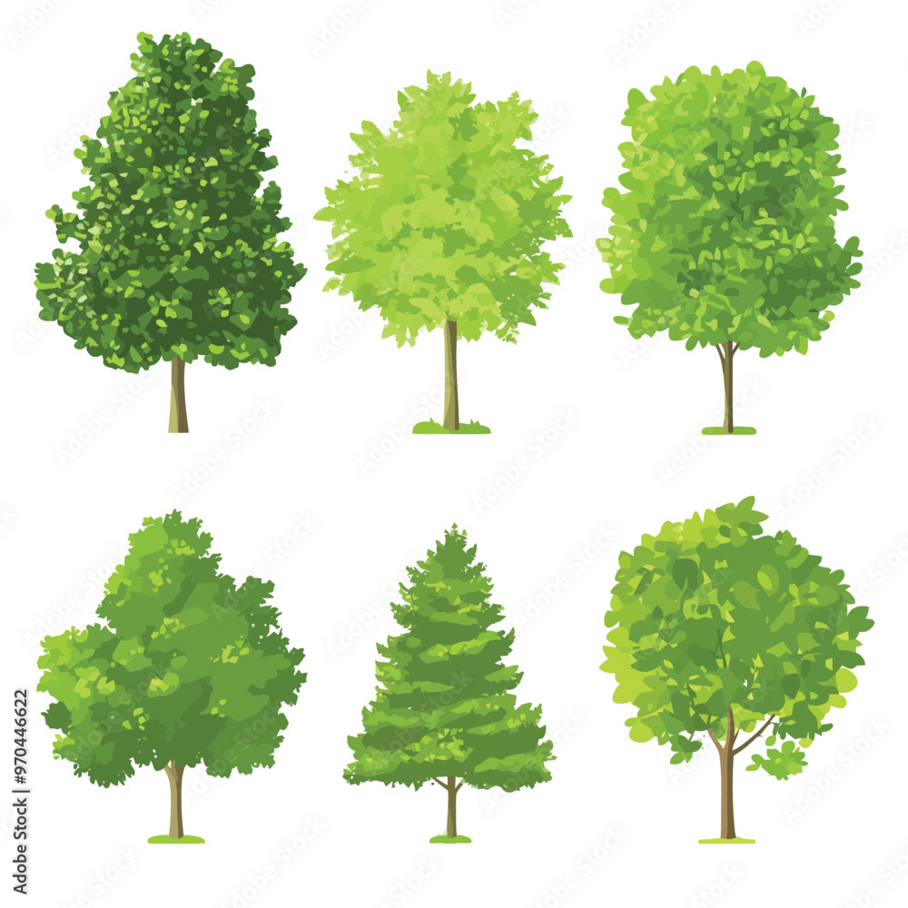 Fototapeta premium Set of Green trees