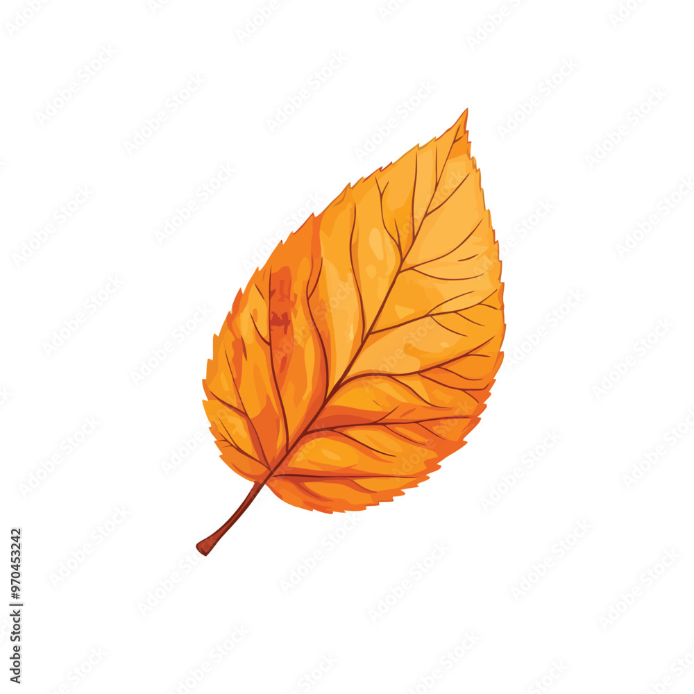 Fototapeta premium Isolated vector of autumn leaf