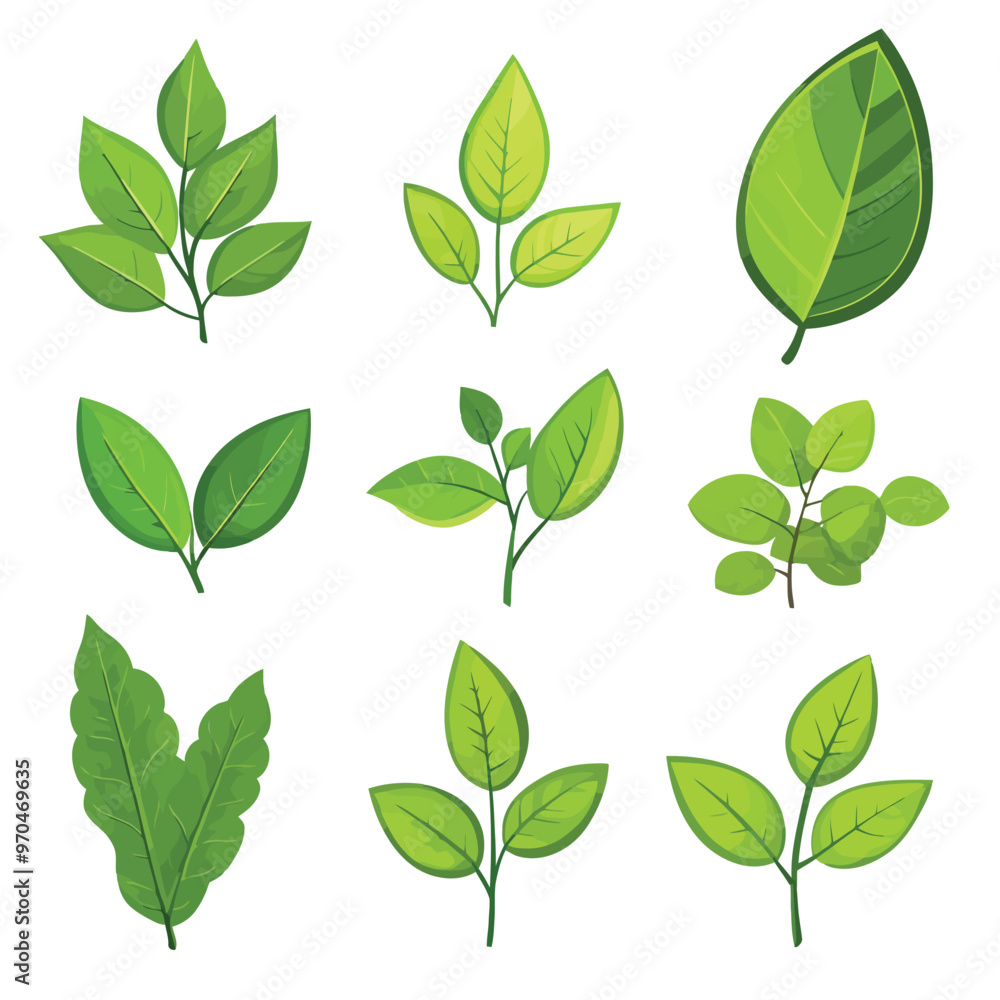 Set of green tropical leaves Set of green tropical leaves