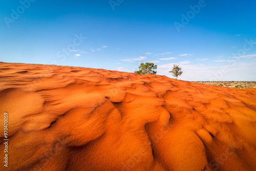 Bild auf Leinwand Red sand dunes and desert vegetation in central Australia