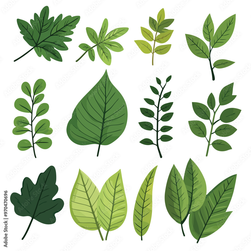 Set of green tropical leaves Set of green tropical leaves