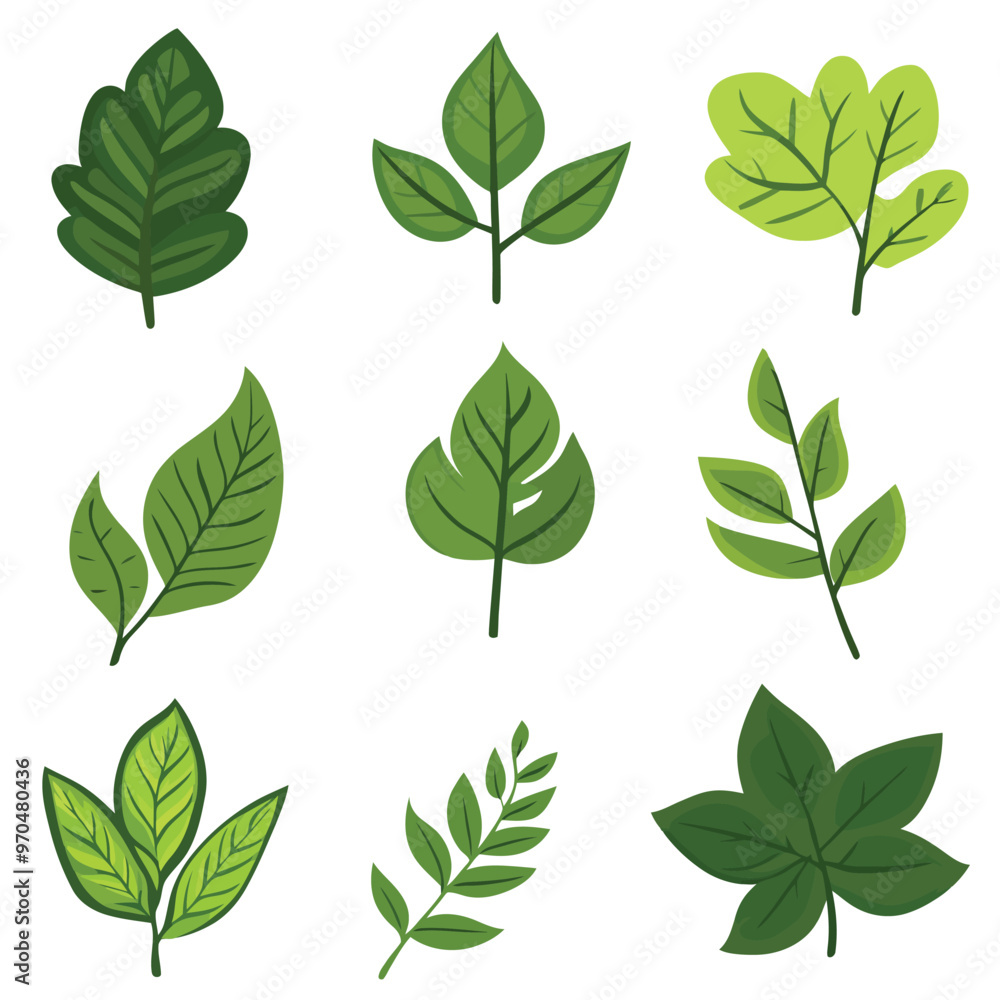 Set of green leaves, isolated on a white color background Set of green leaves, isolated on a white color background