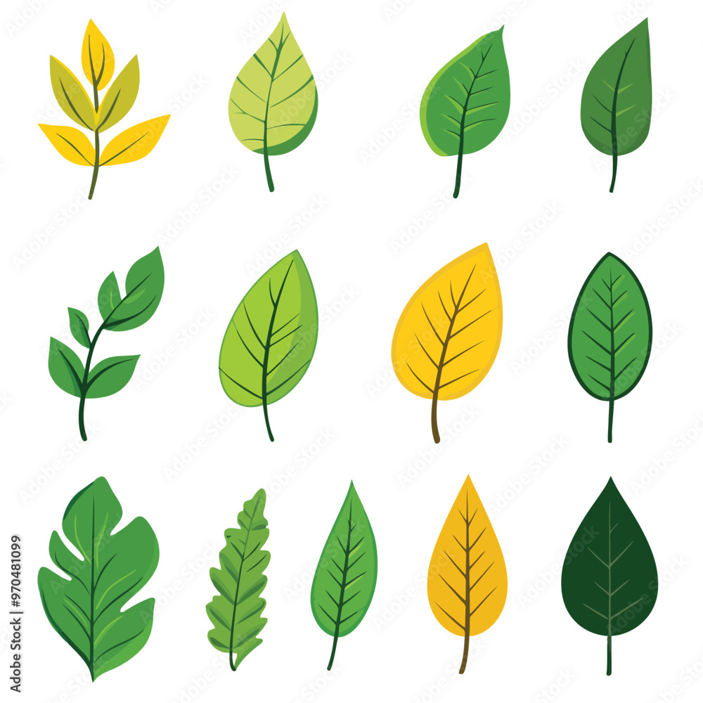 Set of green leaves, isolated on a white color background Set of green leaves, isolated on a white color background