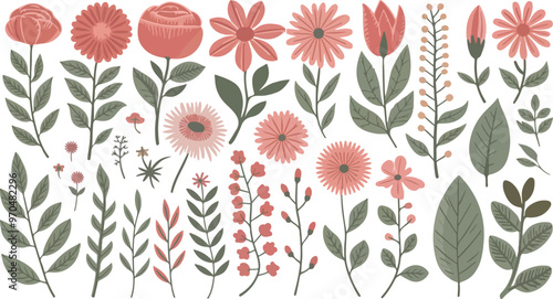 A collection Set of beautiful blooming Hand drawn spring wild flowers from the garden botanical chart