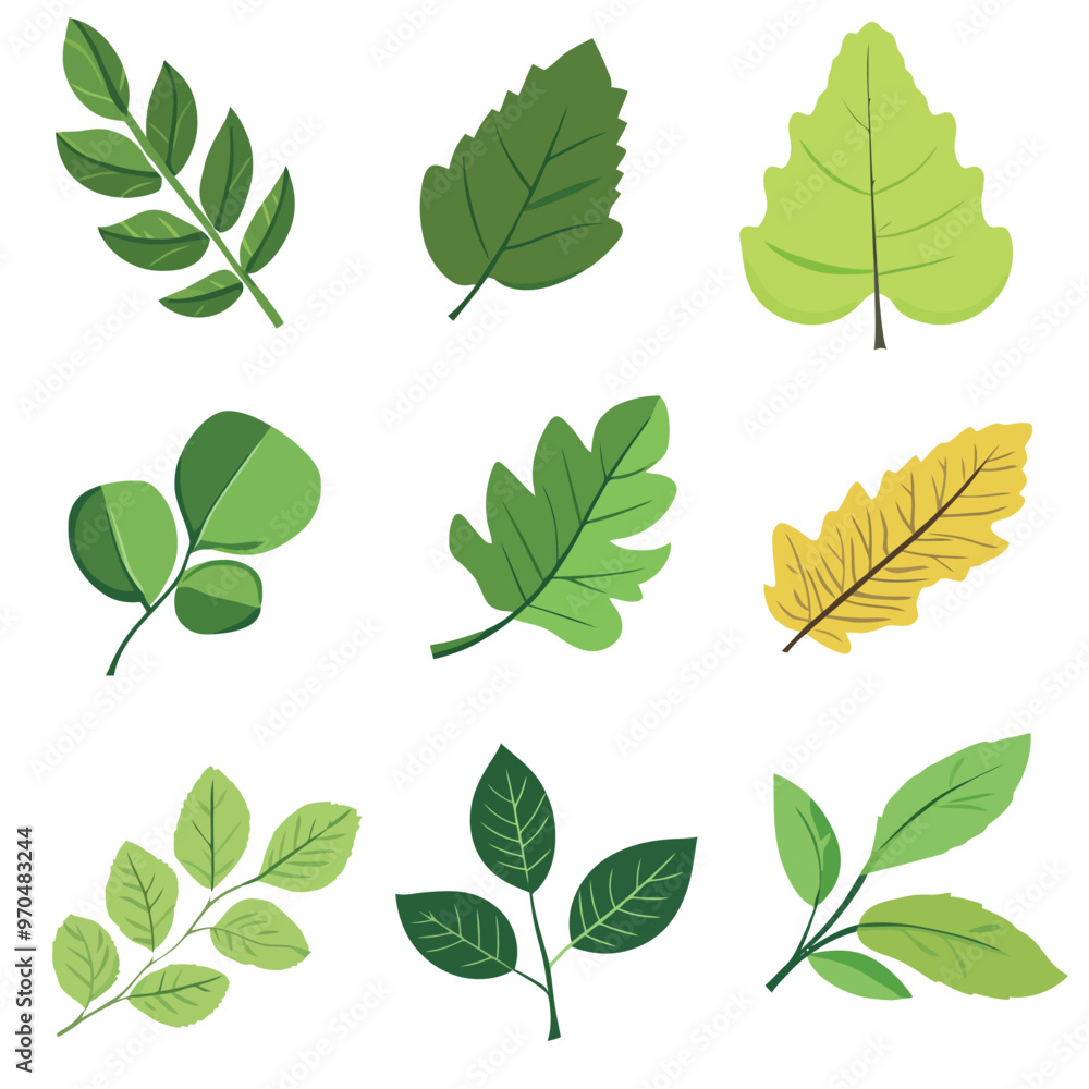 Set of green leaves, isolated on a white color background Set of green leaves, isolated on a white color background