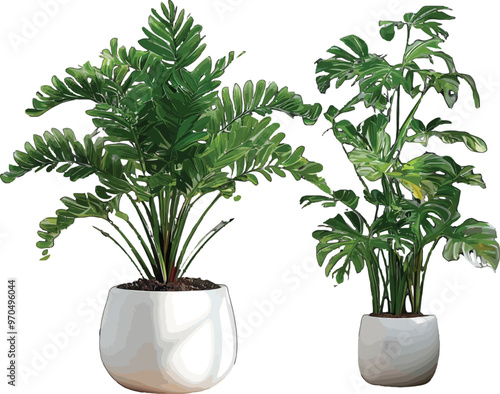 Vector Illustration Image of ornamental flower plants in pots that are often planted in front of the house as greenery