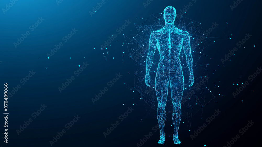 A blue background shows a simplified outline of a man's body made of shapes, dots, and lines. This represents the idea of health and medicine in a digital way.low poly vector illustration. A blue background shows a simplified outline of a man's body made of shapes, dots, and lines. This represents the idea of health and medicine in a digital way.low poly vector illustration.