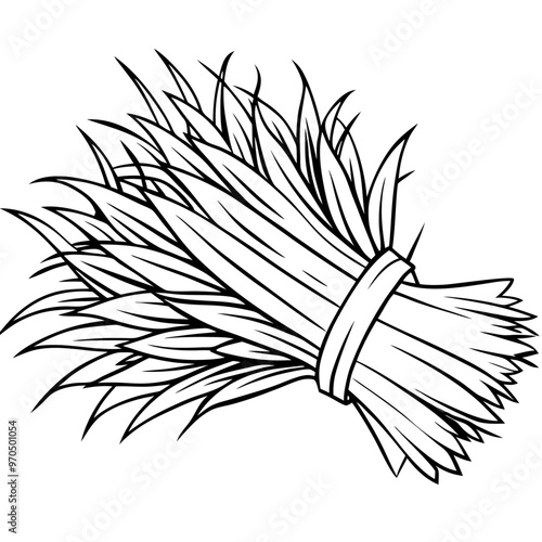 hay bunch outline coloring book page line art drawing