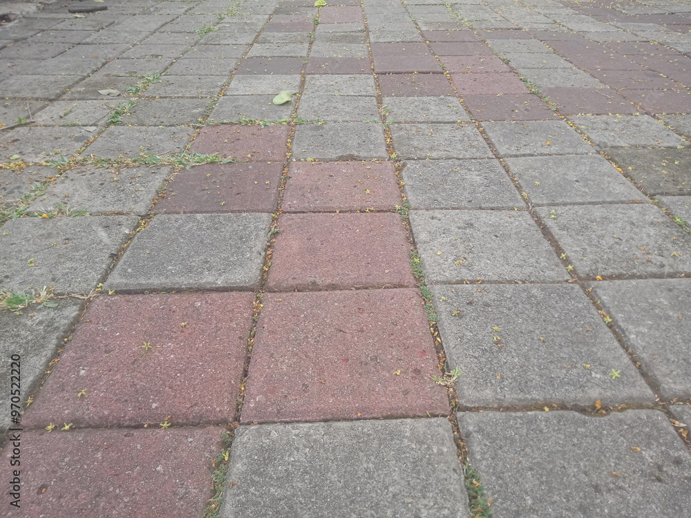 Fototapeta premium Sidewalks for people walking made of paving blocks look neat and clean