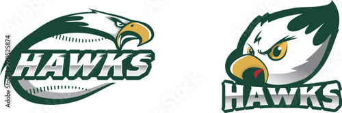 hawk logo