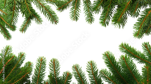 Fir Tree Branches Frame Isolated on Transparent Background