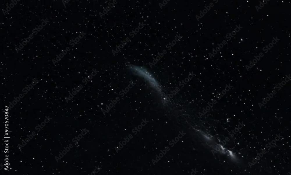 stars stars