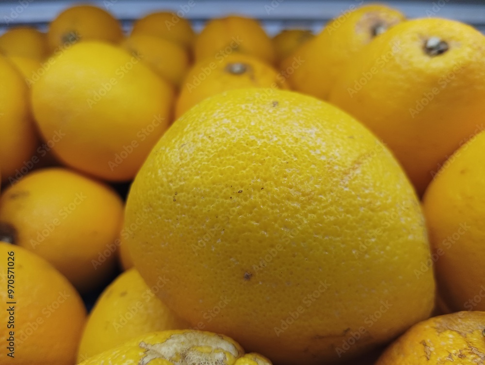 Close-up of a Single Ripe Yellow Citrus Fruit Among Others Close-up of a Single Ripe Yellow Citrus Fruit Among Others