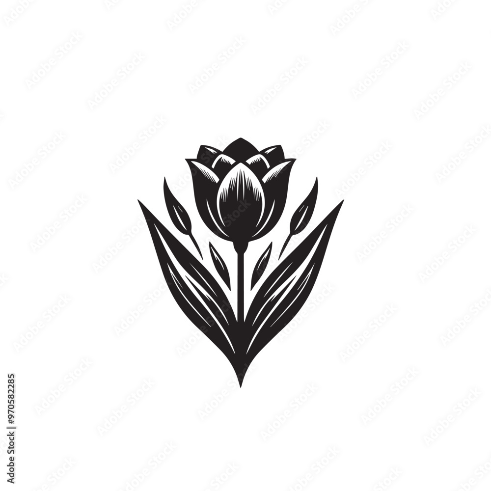 Tulip vector design. Tulip silhouette. Tulip logo, icon vector design black and white. Tulip vector design. Tulip silhouette. Tulip logo, icon vector design black and white.