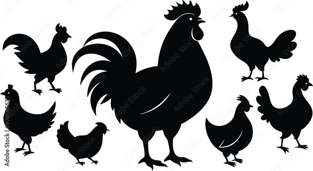 Fototapeta premium silhouettes of rooster and hens in various poses vector illustration silhouette, Print