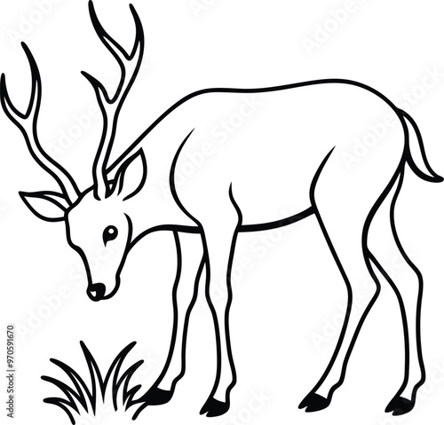 Modern deer logo icon line art vector illustration for a sleek and professional look photo