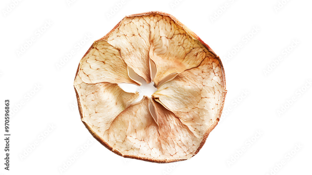 A dried apple slice with a transparent background. A dried apple slice with a transparent background.
