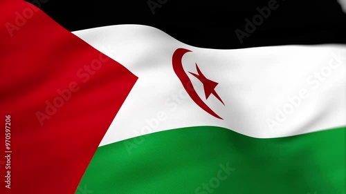 Sahrawi Arab Democratic Republic Flag waving 4k independence day photo