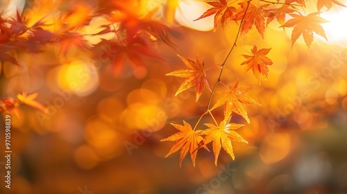 Golden Autumn Maple Leaves Illuminated by Sunlight, Creating a Warm Glow with Vibrant Colors of Orange, Red, and Yellow. Sunlight Filtering Through the Branches in a Scenic, Joyful Atmosphere Full of 