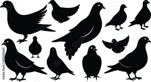 silhouettes of pigeons in various poses vector illustration silhouette, Print