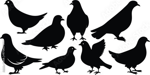 silhouettes of pigeons in various poses vector illustration silhouette, Print
